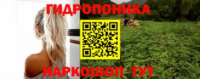 PSILOCYBIN Гусев