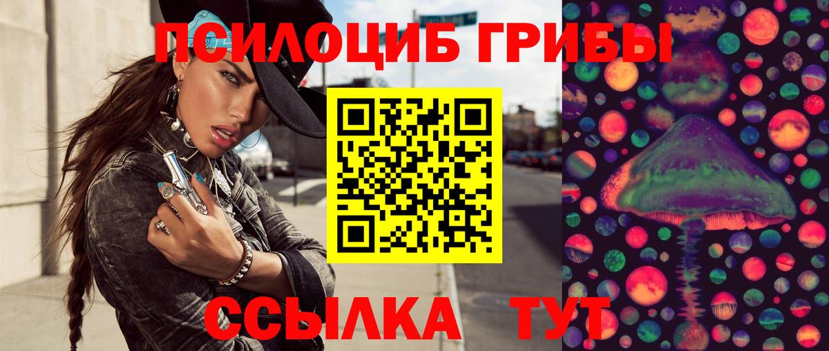 Псилоцибиновые грибы MAGIC MUSHROOMS  Вход с VPN  Борзя 